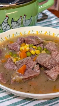 Bowl of easy beef stew with vegetables and herbs