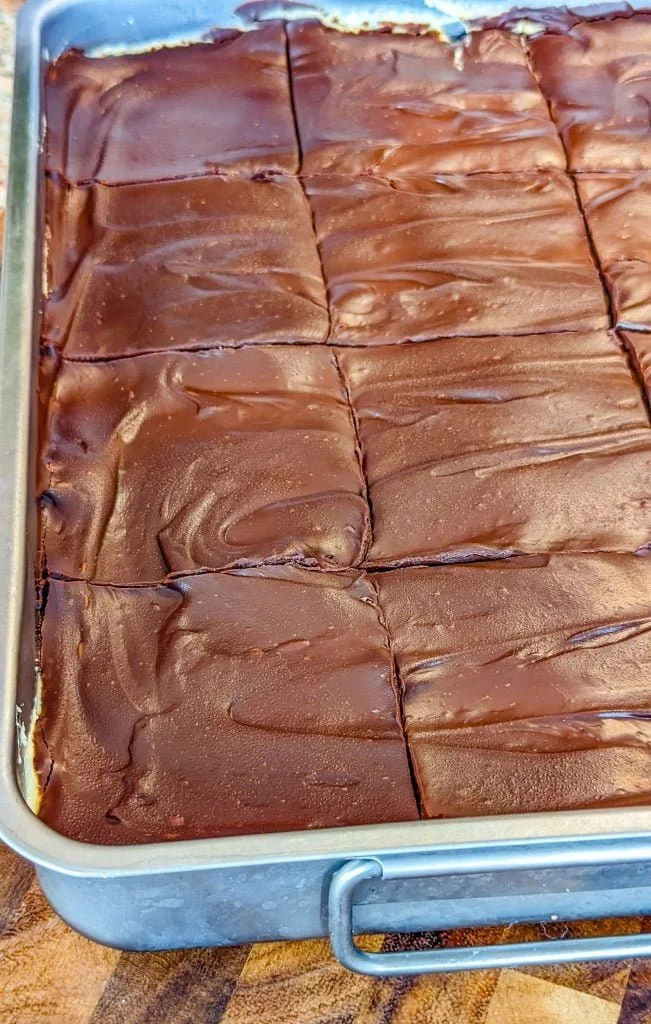 No Bake Chocolate Eclair Cake with layers of cream and chocolate icing